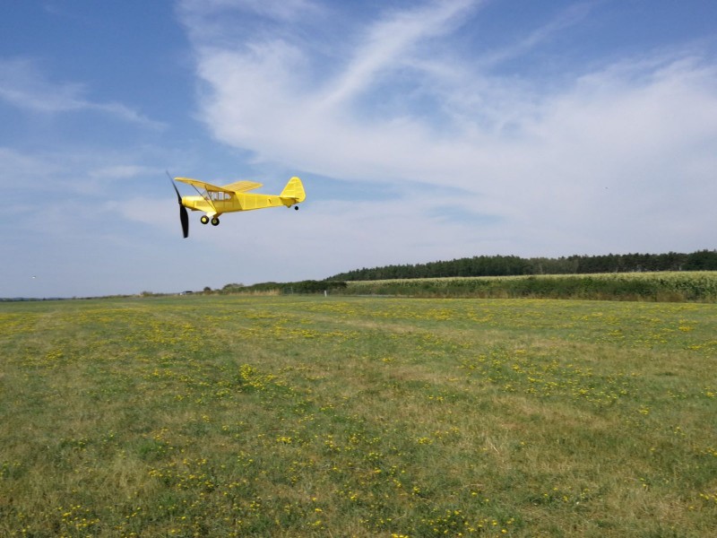 Piper PA-18.jpg