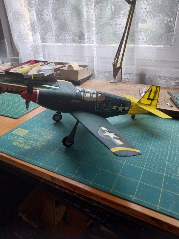 20240808_114439.jpg