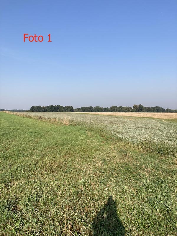 Foto 1.jpg