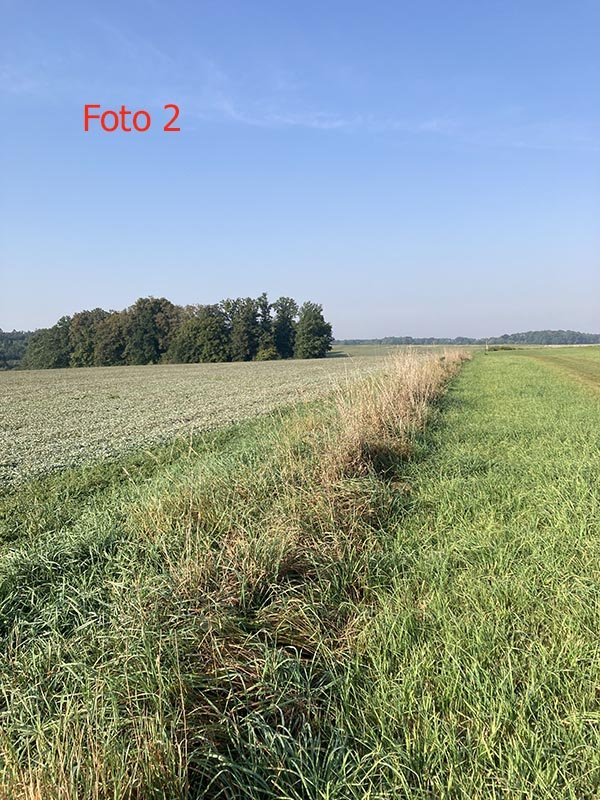 Foto 2.jpg