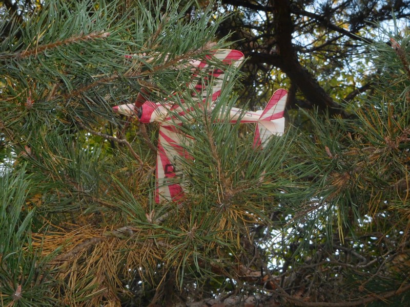 DSCN6706.JPG
