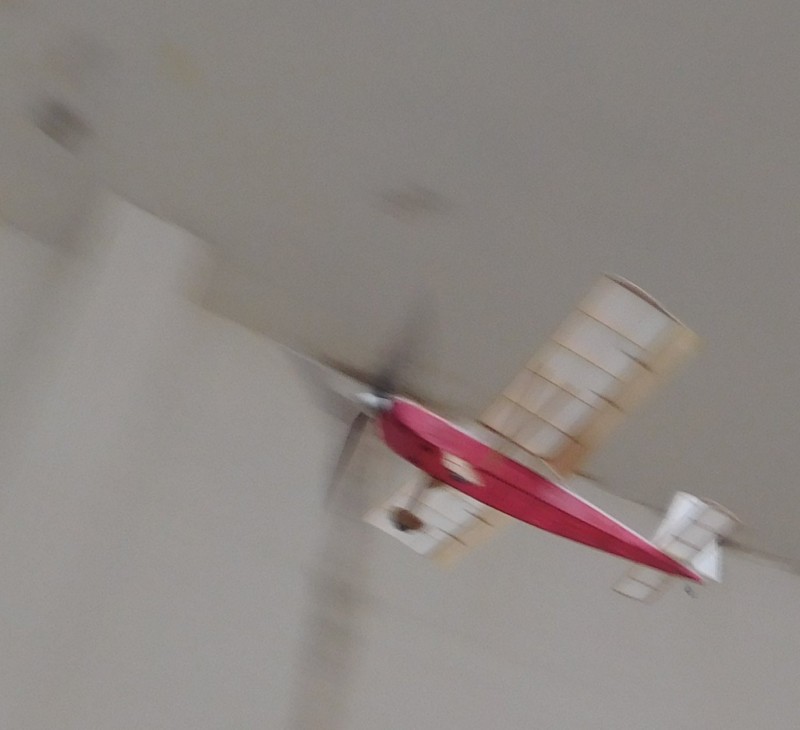 Skylark stoupá. ve staré hale JPG.JPG
