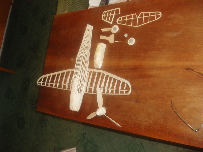 P1010006.JPG