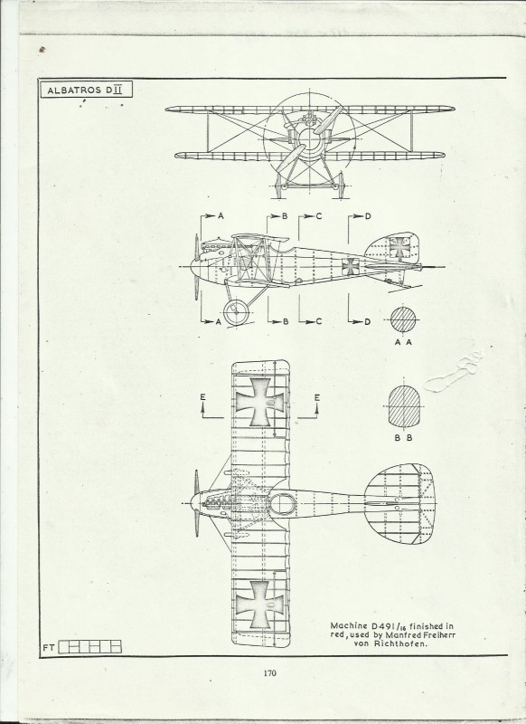 Alb D II 3 view.jpg