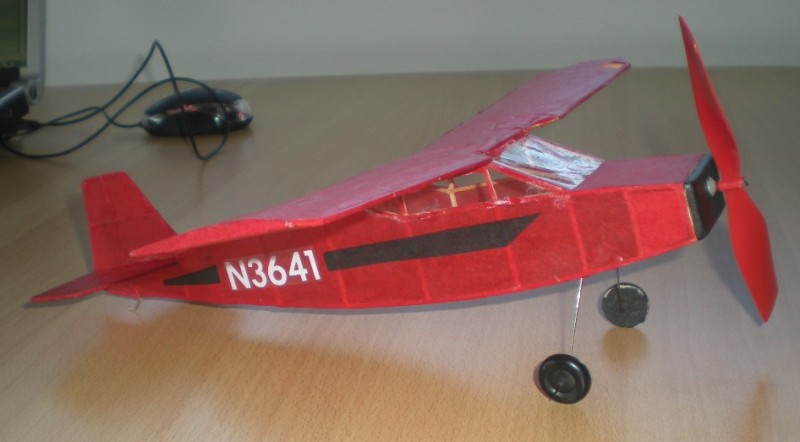 n_cougar1.JPG