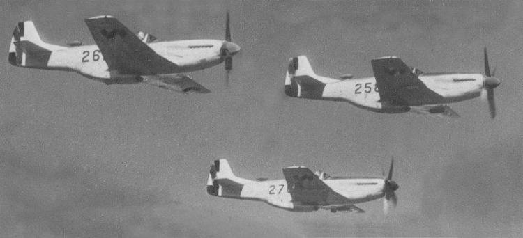 f51s.jpg