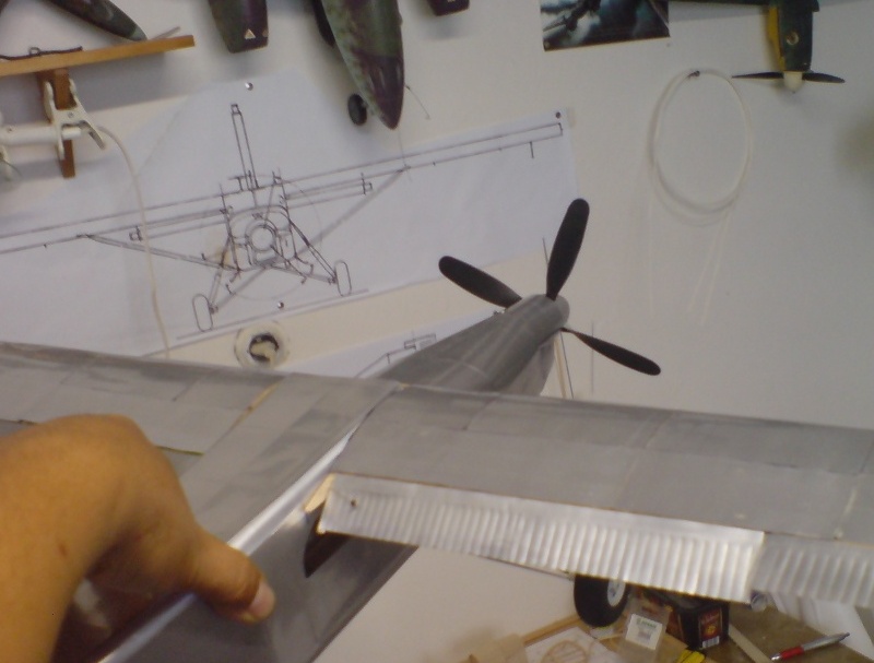 IV flaps.JPG