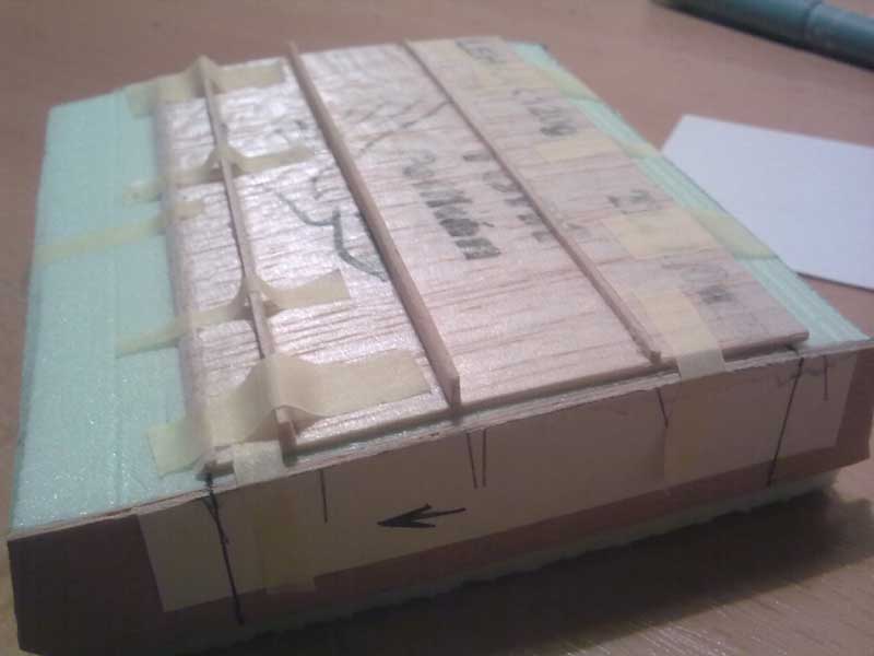 zebra2.jpg