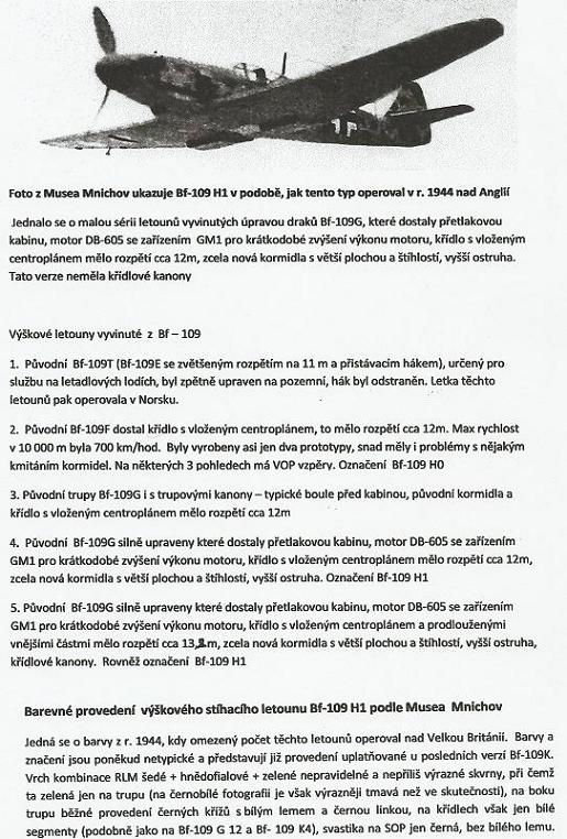 Bf-109 H1 40%.JPG
