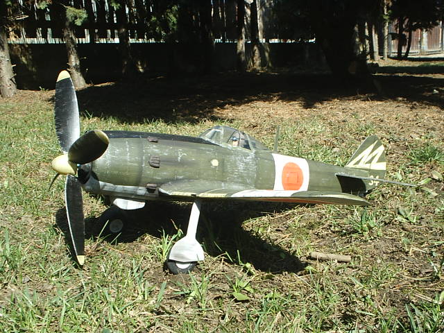 S2010016.JPG
