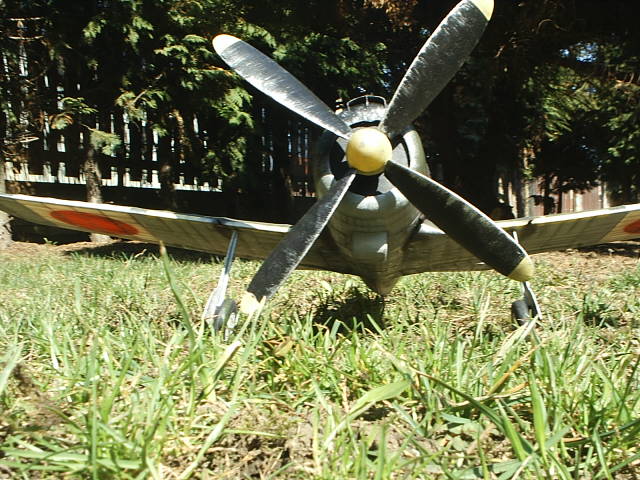 S2010017.JPG