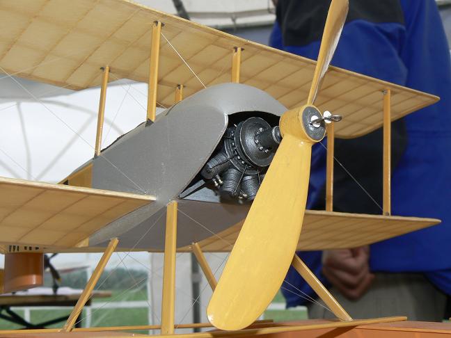 P1370604a.jpg