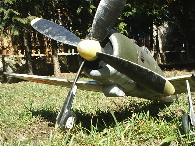 S2010028.JPG