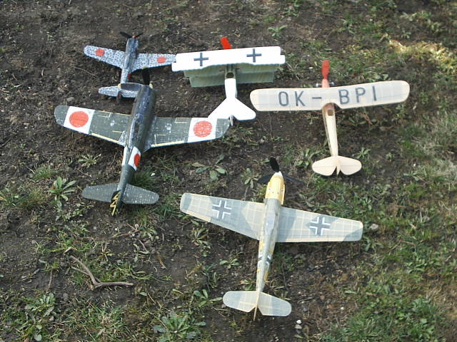 S2010038.JPG