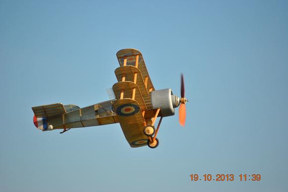 DSC_1366a.jpg