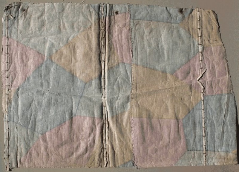 4Fokker_DVII_6746_undersurface_lozenge_fabric_reverse.jpg