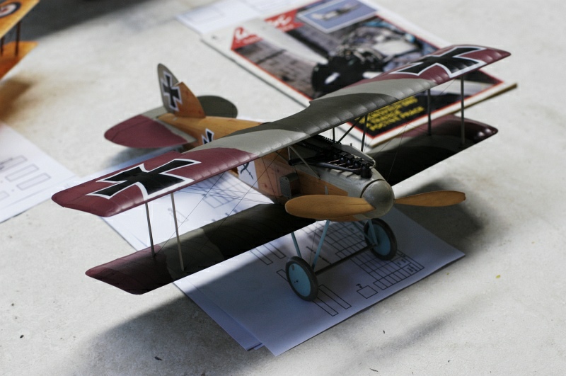 DSC_1095.JPG